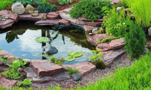 How to Choose the Perfect Rocks for Your Rock Garden Design