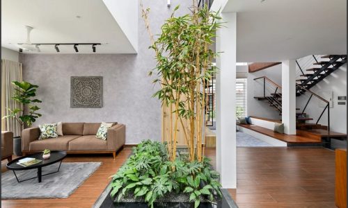 Courtyard Serenity: Transforming Spaces with Courtyard Landscaping