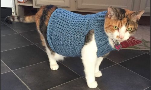 Cat Couture: Crocheting a Stylish Sweater for Your Feline Friend
