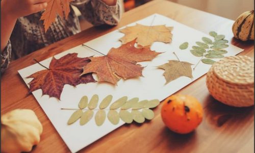 Fall Frolics: Craft Projects to Embrace the Autumn Season