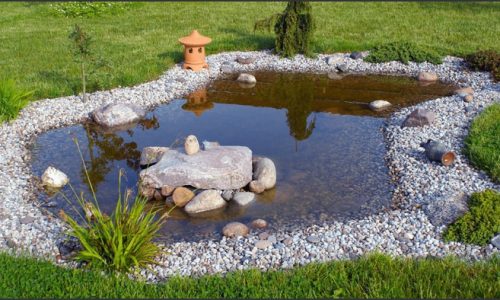 Pond Paradise: Creating Beautiful Outdoor Ponds