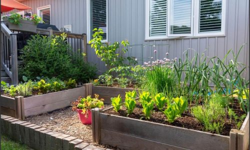 Garden Glory: DIY Gardens for Green-Thumbed Enthusiasts