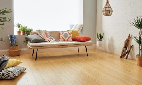 Bamboo Floor Benefits for Sustainable Homes