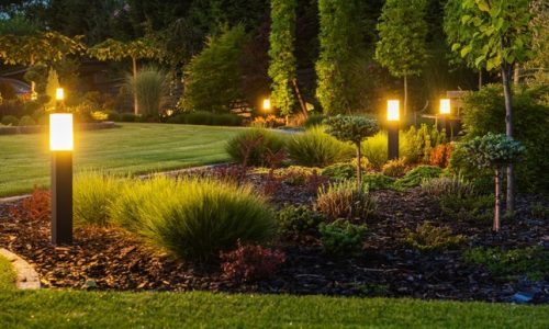 Solar-Powered Garden Lights for an Eco-Friendly Yard