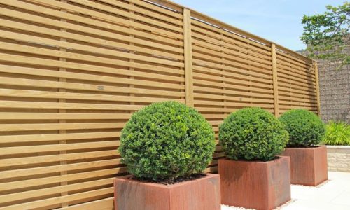 Bamboo Garden Fencing for a Natural Touch
