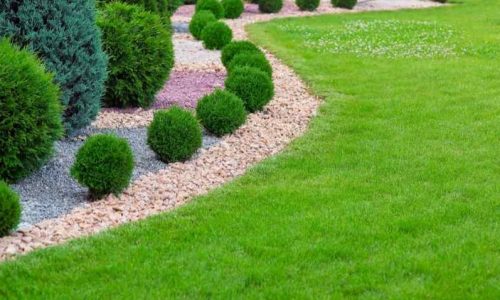 Garden Bed Edging Ideas to Beautify Your Yard