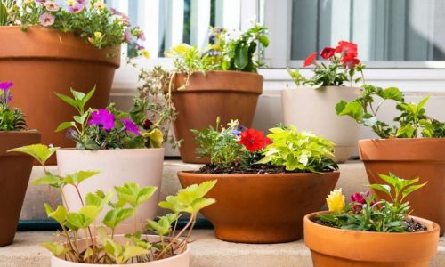 DIY Patio Planters: Stylish Containers for Your Outdoor Plants