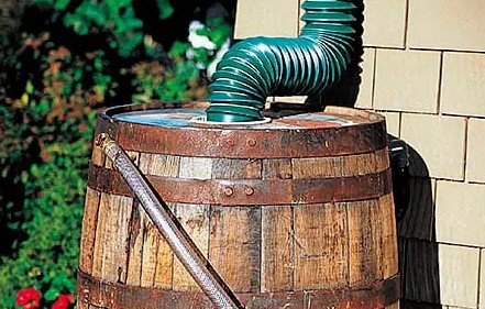 DIY Rain Barrels: Simple Solutions for Sustainable Watering
